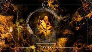 Ivory Cage - Nuevo single 2025 de DSEED, autoproducido y grabado en la cueva de Stone Cage Records